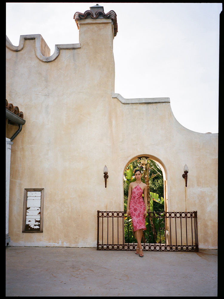 Petal Blaze Dress