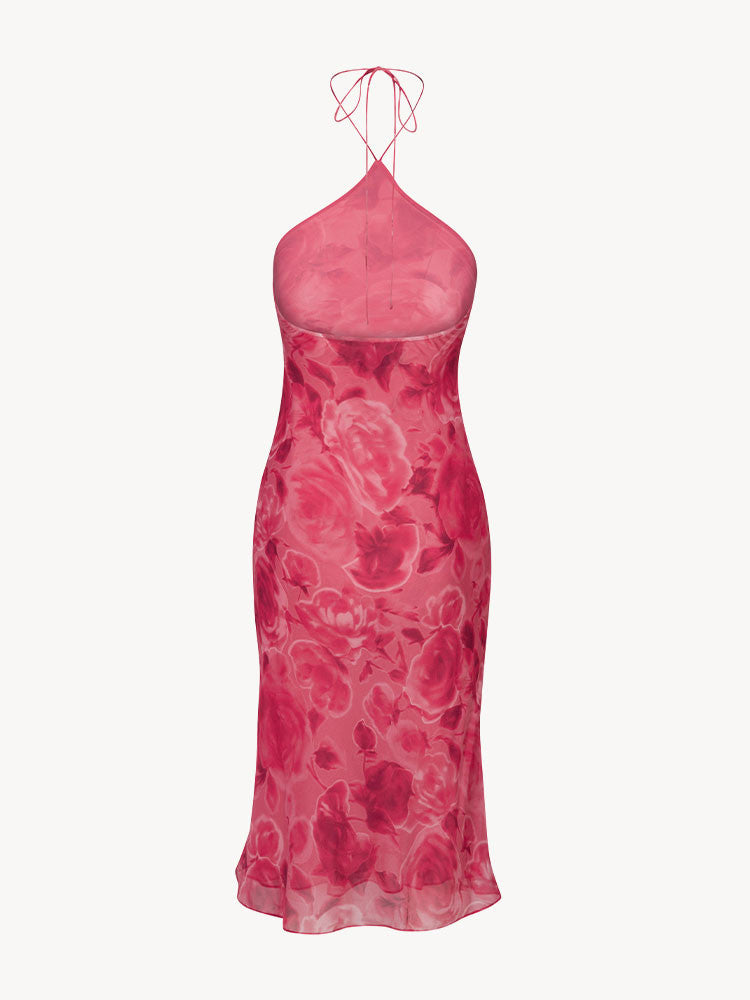 Petal Blaze Dress