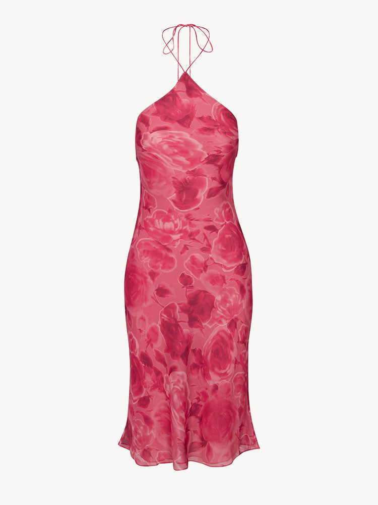 Petal Blaze Dress